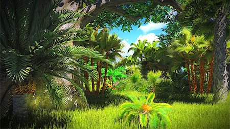 simsearch:400-04701752,k - Lush vegetation in the jungle Photographie de stock - Aubaine LD & Abonnement, Code: 400-08302615