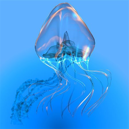 sting - The Jellyfish is a transparent gelatinous predator that uses its stinging tentacles to catch fish and small prey. Stock Photo - Budget Royalty-Free & Subscription, Code: 400-08334042