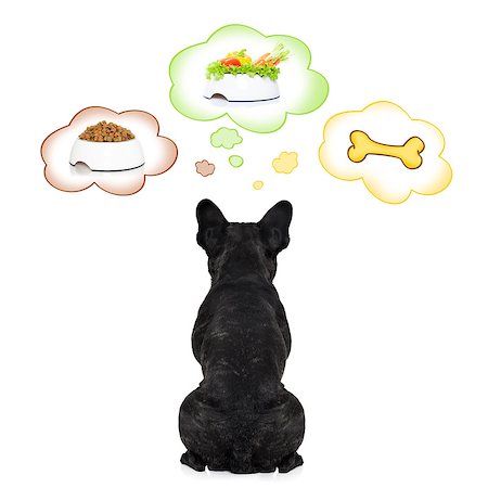 dreaming about eating - hungry  french bulldog dog thinking about the choice between food bowl, vegan bowl or  a big bone , in  speech bubbles, isolated on white background Stock Photo - Budget Royalty-Free & Subscription, Code: 400-08334548