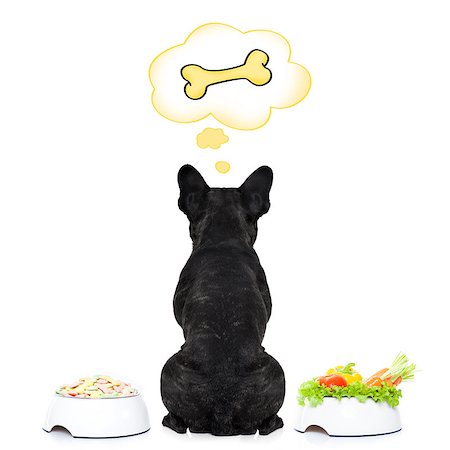 dreaming about eating - hungry  french bulldog dog thinking about the choice between food bowl, vegan bowl or  a big bone , in  speech bubbles, isolated on white background Stock Photo - Budget Royalty-Free & Subscription, Code: 400-08334549