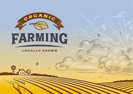 Vintage organic farming label with landscape in woodcut style. Editable vector illustration with clipping mask. Stock Photo - Budget Royalty-Free & Subscription, Code: 400-08335935