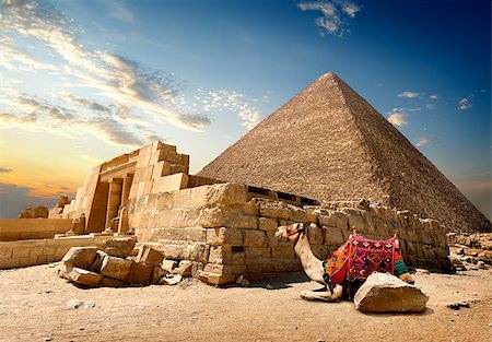 simsearch:400-05098768,k - Camel rests near ruins of entrance to pyramid Stock Photo - Budget Royalty-Free & Subscription, Code: 400-08338272