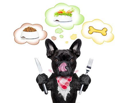 dreaming about eating - hungry  french bulldog dog thinking about the choice between food bowl, vegan bowl or  a big bone , in  speech bubbles, isolated on white background Stock Photo - Budget Royalty-Free & Subscription, Code: 400-08333784