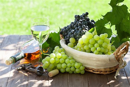 simsearch:846-05647552,k - White wine bottle and glass, red and white grape on garden table Stock Photo - Budget Royalty-Free & Subscription, Code: 400-08344296