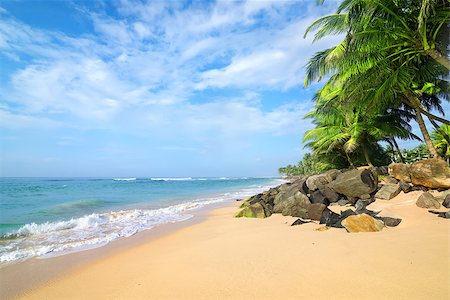 simsearch:400-05745636,k - Stones and palm trees on a sandy beach of Gala in Sri Lanka Stock Photo - Budget Royalty-Free & Subscription, Code: 400-08347789