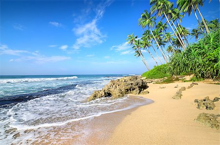 simsearch:400-05745636,k - Green palm trees on the beach of Gala Stock Photo - Budget Royalty-Free & Subscription, Code: 400-08347800