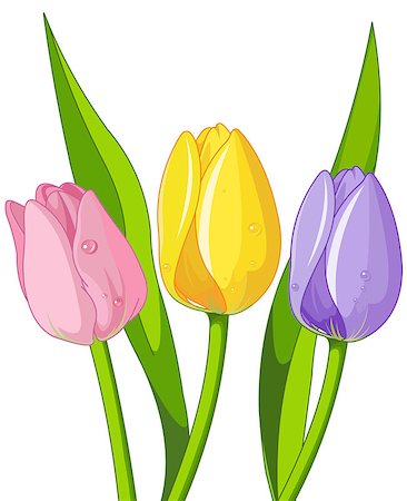 Illustration of bouquet tulips Stock Photo - Budget Royalty-Free & Subscription, Code: 400-08348132