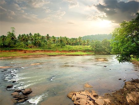 simsearch:400-04636750,k - River in jungle of Sri Lanka at sunset Stock Photo - Budget Royalty-Free & Subscription, Code: 400-08348502