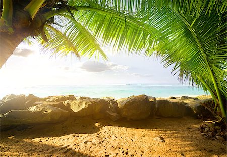 simsearch:400-05745636,k - View on the ocean through palm trees in sunny morning Stock Photo - Budget Royalty-Free & Subscription, Code: 400-08348939