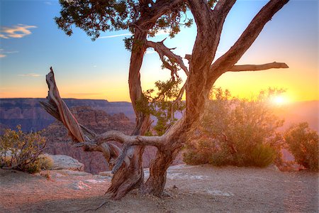 Sunset in Grand Canyon Stock Photo - Budget Royalty-Free & Subscription, Code: 400-08372289