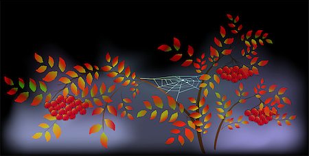 simsearch:400-05698489,k - Landscape from autumn leaves, rowan and web. EPS10 vector illustration. Stock Photo - Budget Royalty-Free & Subscription, Code: 400-08405344