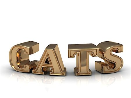 simsearch:400-04053564,k - CATS - inscription of bright gold letters on white background Stock Photo - Budget Royalty-Free & Subscription, Code: 400-08400127