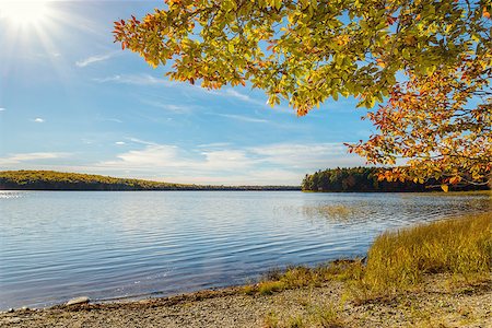 Kejimkujik lake in fall from Jeremy Bay Campground (Kejimkujik National Park, Nova Scotia, Canada) Stock Photo - Budget Royalty-Free & Subscription, Code: 400-08400795