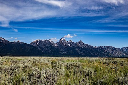 Early morning in the Grand Tetons National Park in Wyoming. Stock Photo - Budget Royalty-Free & Subscription, Code: 400-08401537