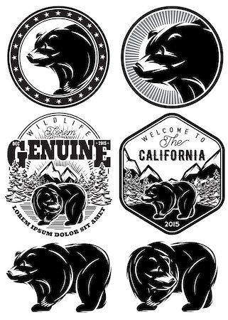 simsearch:400-08348524,k - set of stylish retro badges with bears, forest, mountains Stock Photo - Budget Royalty-Free & Subscription, Code: 400-08430087