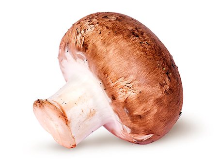 simsearch:400-04824992,k - One whole brown champignon isolated on white background Stock Photo - Budget Royalty-Free & Subscription, Code: 400-08431898
