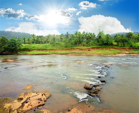 simsearch:400-04636750,k - Fast river in bright jungle at sunny morning, Sri Lanka Stock Photo - Budget Royalty-Free & Subscription, Code: 400-08433387