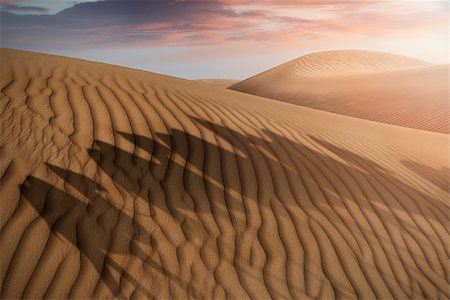 dromedary - shadows of a camel caravan on desert sand dunes in the evening Photographie de stock - Aubaine LD & Abonnement, Code: 400-08433933