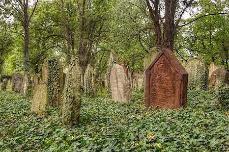 simsearch:400-04032243,k - The Old Jewish cemetery at Kolin - one of the oldest landmarks of that kind in Bohemia. The beginning of the cemetery dates back to the 15th century. The oldest tombstones  are from 1492. There are over 2600 tombstones on the cemetery. For example: tombstone of Becalel, son of Jehuda Low. Kolin, Czech republic, Europe. Stock Photo - Budget Royalty-Free & Subscription, Code: 400-08498296