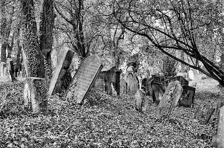 simsearch:400-04032243,k - The Old Jewish cemetery at Kolin - one of the oldest landmarks of that kind in Bohemia. The beginning of the cemetery dates back to the 15th century. The oldest tombstones  are from 1492. There are over 2600 tombstones on the cemetery. For example: tombstone of Becalel, son of Jehuda Low. Kolin, Czech republic, Europe. Stock Photo - Budget Royalty-Free & Subscription, Code: 400-08498297