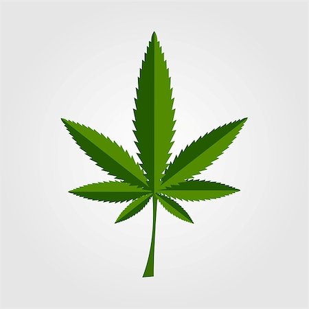 saicle (artist) - Green cannabis leaf icon design. Vector background Stock Photo - Budget Royalty-Free & Subscription, Code: 400-08492119