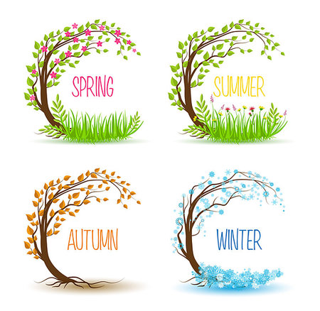 simsearch:400-06327292,k - Vector tree in four seasons - spring, summer, autumn, winter Stock Photo - Budget Royalty-Free & Subscription, Code: 400-08504394