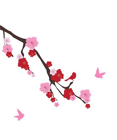 simsearch:400-04882926,k - vector illustration of cherry blossom with birds Stock Photo - Budget Royalty-Free & Subscription, Code: 400-08505293