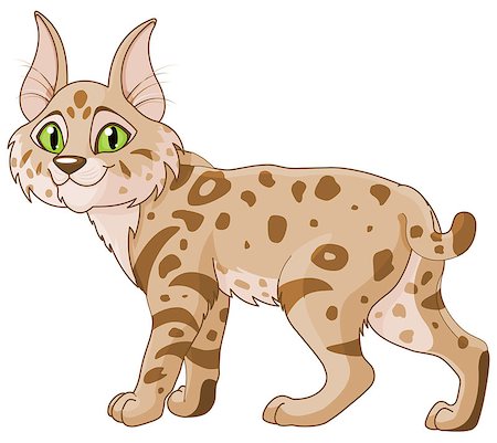 Illustration of cute bobcat Stock Photo - Budget Royalty-Free & Subscription, Code: 400-08505506