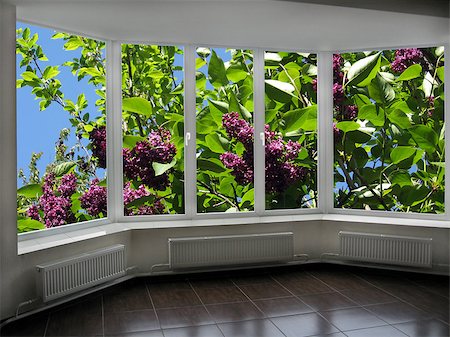simsearch:400-07820254,k - windows with view of the garden with big bush of lilac Stock Photo - Budget Royalty-Free & Subscription, Code: 400-08507364