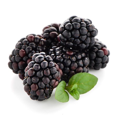 Blackberries with leaves isolated on white background. Stock Photo - Budget Royalty-Free & Subscription, Code: 400-08500821