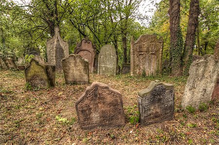 simsearch:400-04032243,k - The Old Jewish cemetery at Kolin - one of the oldest landmarks of that kind in Bohemia. The beginning of the cemetery dates back to the 15th century. The oldest tombstones  are from 1492. There are over 2600 tombstones on the cemetery. For example: tombstone of Becalel, son of Jehuda Low. Kolín, Czech republic, Europe. Stock Photo - Budget Royalty-Free & Subscription, Code: 400-08502268
