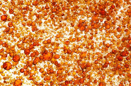 simsearch:400-04956513,k - Scientific studies with orange bacteria Photographie de stock - Aubaine LD & Abonnement, Code: 400-08503824