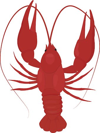 boiled red crayfish, crawfish isolated on white Foto de stock - Super Valor sin royalties y Suscripción, Código: 400-08551890