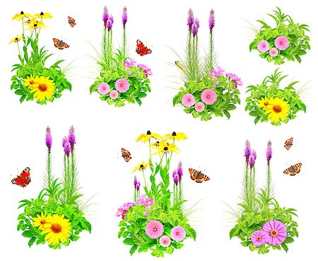 simsearch:400-06069768,k - Collection of summer flowers, butterfly, caterpillar and green leaves. Isolated on white background Stock Photo - Budget Royalty-Free & Subscription, Code: 400-08552479