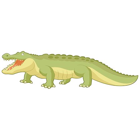 simsearch:400-04434649,k - Vector image of the Cartoon green alligator Stock Photo - Budget Royalty-Free & Subscription, Code: 400-08614836