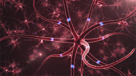 simsearch:400-05692484,k - 3d rendered close up of an active nerve cell Stock Photo - Budget Royalty-Free & Subscription, Code: 400-08618486