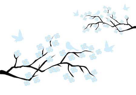 simsearch:400-04882926,k - vector illustration of a blossom branch with birds Stock Photo - Budget Royalty-Free & Subscription, Code: 400-08613586