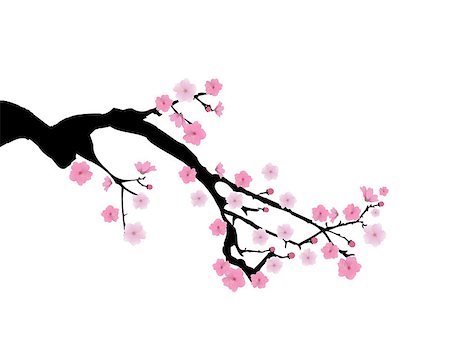 simsearch:400-04882926,k - vector illustration of cherry branch in blossom Stock Photo - Budget Royalty-Free & Subscription, Code: 400-08627433
