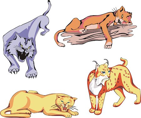 simsearch:400-04171805,k - Set of wild predator cats. Vector illustrations. Stock Photo - Budget Royalty-Free & Subscription, Code: 400-08620374