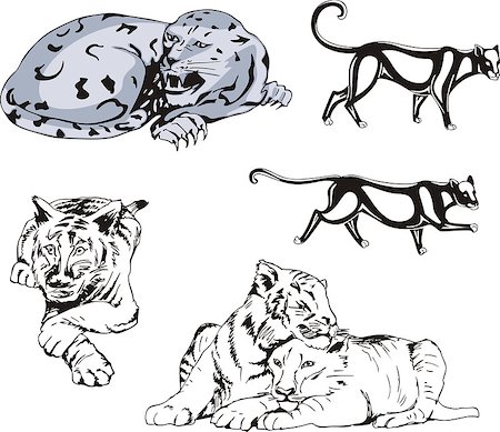 simsearch:400-04171805,k - Set of wild predator cats. Vector illustrations. Stock Photo - Budget Royalty-Free & Subscription, Code: 400-08620373