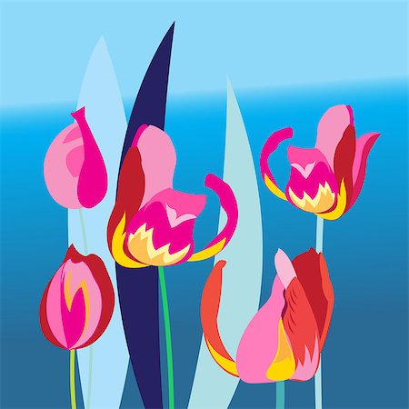 simsearch:400-08627385,k - Bright background with beautiful multi-colored tulips on a blue background Stock Photo - Budget Royalty-Free & Subscription, Code: 400-08622577