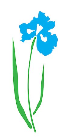 vector illustration of an iris flower Foto de stock - Super Valor sin royalties y Suscripción, Código: 400-08623004