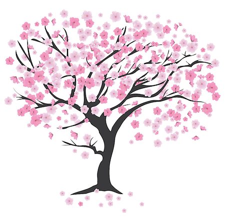 simsearch:400-04882926,k - vector illustration of a cherry tree in blossom Stock Photo - Budget Royalty-Free & Subscription, Code: 400-08623009