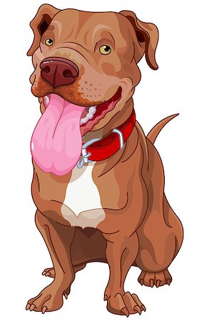 drawings of breeds of dogs - Illustration of cute Pit-bull Stock Photo - Budget Royalty-Free & Subscription, Code: 400-08623923