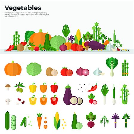 pumpkin leaf vector - Concept of healthy food. Banner and isolated icons of vegetables on white background in flat design. Carrot, pumpkin, onion, tomato, mushroom. For web, applications, banners, brochures, covers Stock Photo - Budget Royalty-Free & Subscription, Code: 400-08646834