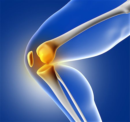 3D render of a blue medical image of close up of knee joint Stock Photo - Budget Royalty-Free & Subscription, Code: 400-08647181