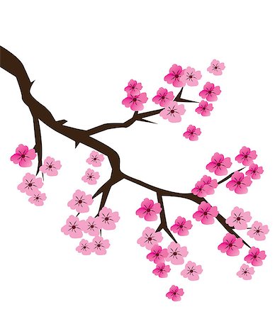 simsearch:400-04882926,k - vector illustration of a cherry blossom branch Stock Photo - Budget Royalty-Free & Subscription, Code: 400-08652114