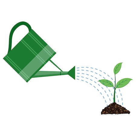 Young plant with watering can on the white background. Also available as a Vector in Adobe illustrator EPS 10 format. Foto de stock - Super Valor sin royalties y Suscripción, Código: 400-08653573