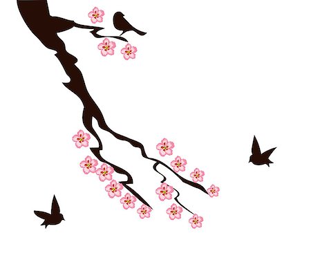 simsearch:400-04882926,k - vector illustration of cherry blossom branch with birds Stock Photo - Budget Royalty-Free & Subscription, Code: 400-08653803