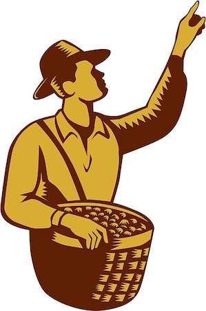 simsearch:400-08629141,k - Illustration of a fruit picker fruit worker wearing hat carrying basket full of fruits pointing up set inside on isolated white background done in retro woodcut style. Stock Photo - Budget Royalty-Free & Subscription, Code: 400-08653867